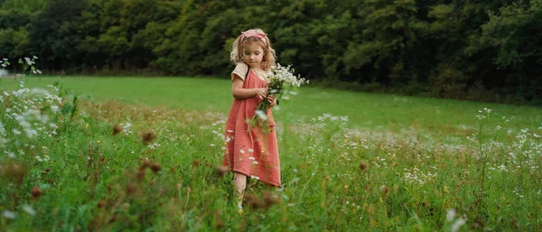 Little Girl Summer Dress Picking Flowers Meadow — Stock Photo, Image