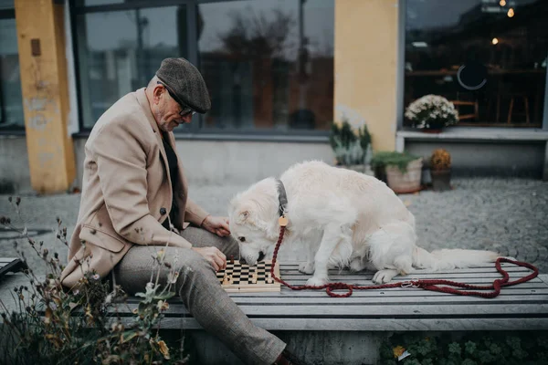 Senior Sitzt Mit Hund Auf Bank Und Spielt Schach — Stockfoto