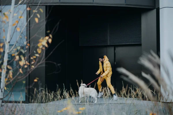 Счастливый Молодой Человек Гуляет Своей Собакой Городу Осенний День — стоковое фото
