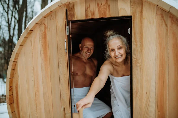 Kıdemli Çift Saunada Eğleniyor Rahatlıyor Spa Sağlıklı Yaşam Konsepti — Stok fotoğraf