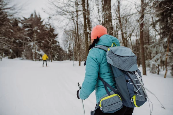 Couple Personnes Âgées Skient Ensemble Milieu Forêt Enneigée — Photo