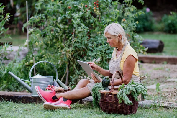 Senior Woman Using Laptop Handling Orders Her Homegrown Organic Flowers — Stock Photo, Image