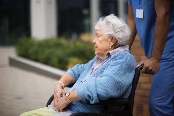 Portrait Senior Woman Wheelchair Spending Time Her Assistant — Stock Photo, Image