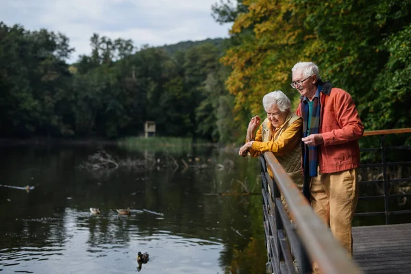秋天里 一对快乐的老夫妇在湖边散步 休息片刻 — 图库照片