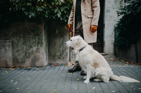 Ein Eleganter Älterer Mann Geht Mit Seinem Hund Der Stadt — Stockfoto