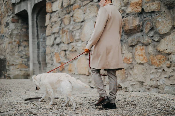 Una Sección Baja Elegante Hombre Mayor Paseando Perro Aire Libre — Foto de Stock