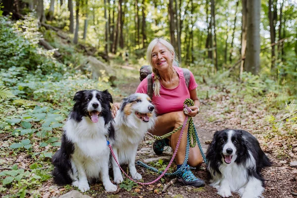 Senior Mujer Caminando Con Sus Tres Perros Bosque —  Fotos de Stock