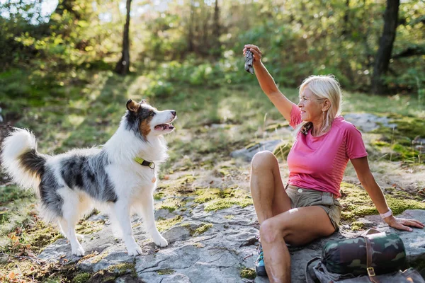 Mulher Sênior Treinando Seu Cão Durante Caminhada Uma Floresta — Fotografia de Stock