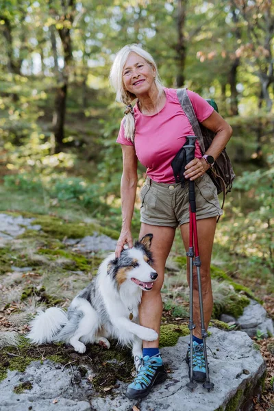 3匹の犬と森の中を歩くシニア女性 — ストック写真