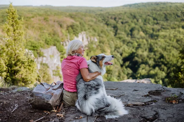 Старша Жінка Відпочиває Погладжує Собаку Під Час Прогулянки Лісі Насолоджуючись — стокове фото