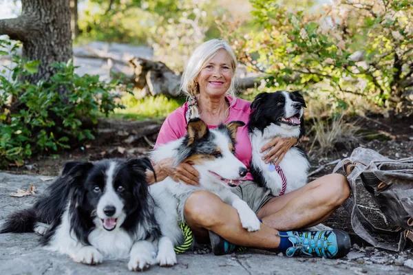 Ανώτερη Γυναίκα Έχει Διάλειμμα Κατά Διάρκεια Της Βόλτα Τρία Σκυλιά — Φωτογραφία Αρχείου