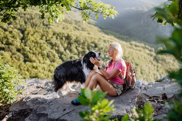 Yaşlı Kadın Ormanda Yürürken Dinleniyor Köpeğini Okşuyor — Stok fotoğraf