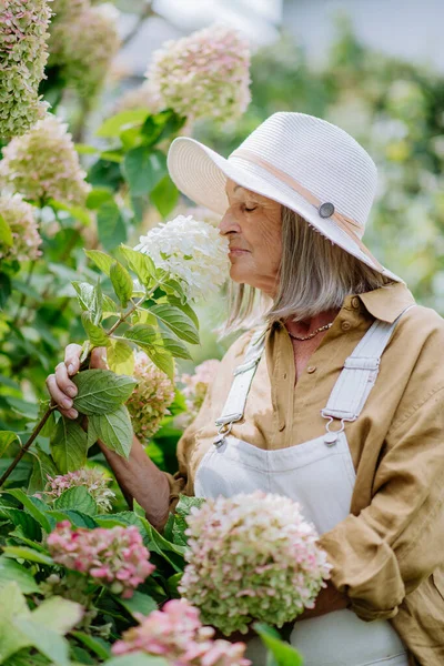 Çiçek Bahçesinde Poz Veren Mutlu Yaşlı Kadın — Stok fotoğraf