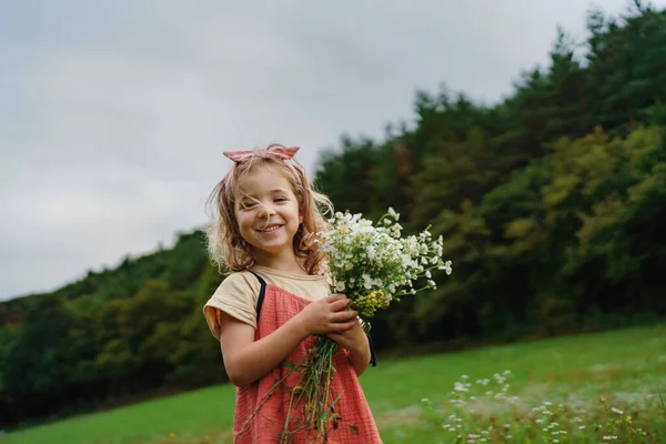 Menina Vestido Verão Colhendo Flores Prado — Fotografia de Stock