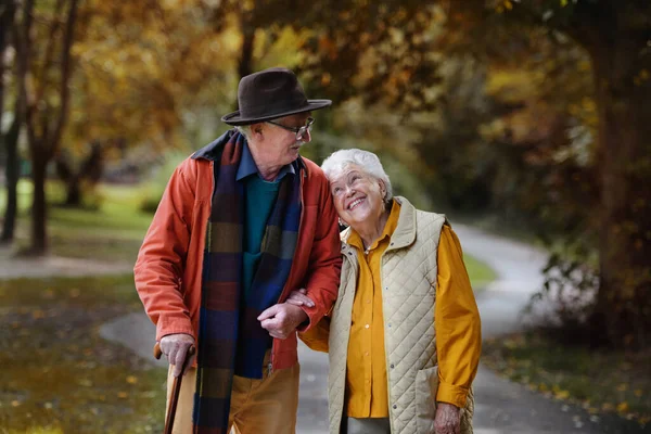 Glada Äldre Par Höst Kläder Promenader Parken Tillsammans — Stockfoto