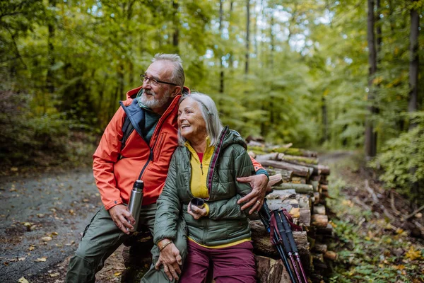 Idős Pár Akik Szüneteltetik Túrázást Őszi Erdőben — Stock Fotó