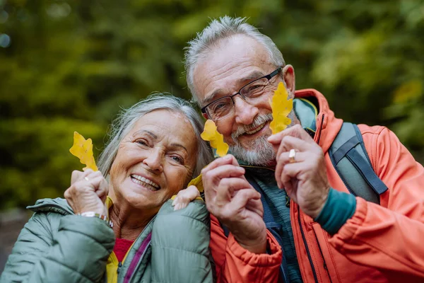 幸福的老夫妇与秋天树叶在森林中的画像 — 图库照片