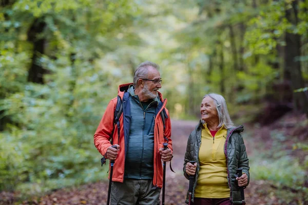 Caminhadas Felizes Casal Sênior Outono Natureza — Fotografia de Stock