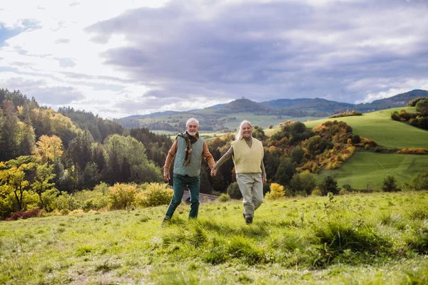 Heureux Couple Personnes Âgées Marchant Dans Nature Automne — Photo