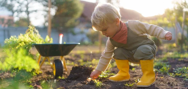 Kleine Jongen Werkt Een Tuin Tijdens Herfstdag — Stockfoto