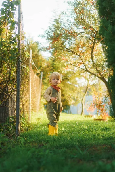 Portrét Malého Chlapce Stojícího Podzimní Zahradě Při Západu Slunce Hledícího — Stock fotografie