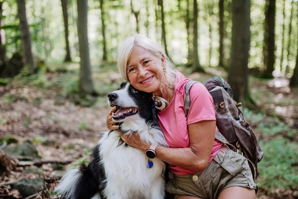 Senior Kvinna Vilar Och Smeker Sin Hund Promenader Skog — Stockfoto