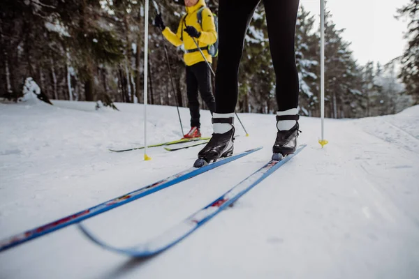 森の中でクロスカントリースキーをしているスキーヤーの低いセクションとクローズアップ — ストック写真