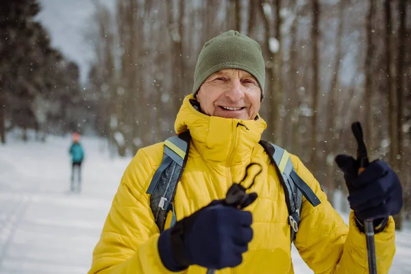 Senior Man Beundrar Naturen Längdskidåkning Skogen — Stockfoto