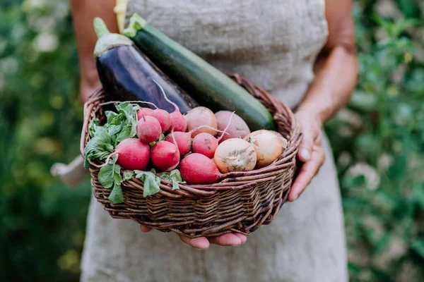 Close Senior Farmer Holding Basket Autumn Harvest Her Garden — Stockfoto