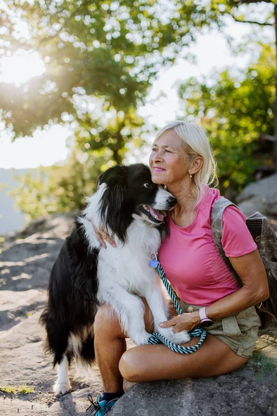 Senior Mujer Descansando Acariciando Perro Durante Paseo Bosque — Foto de Stock