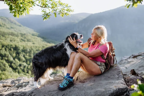 Yaşlı Kadın Ormanda Yürürken Dinleniyor Köpeğini Okşuyor — Stok fotoğraf