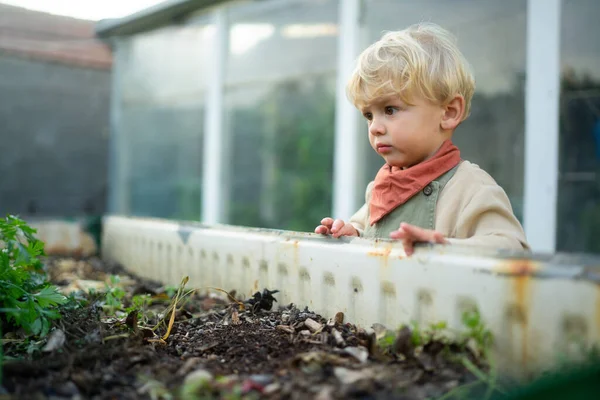 Little Boy Standing Next Outdoor Compost Garden — Stock Photo, Image