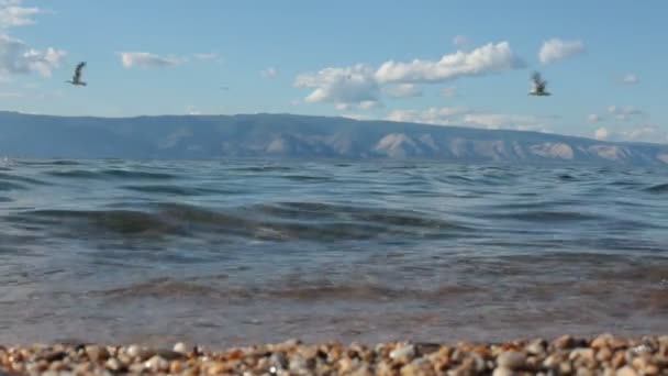 Costa do Lago Baikal — Vídeo de Stock
