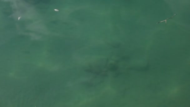 底部的贝加尔湖 — 图库视频影像