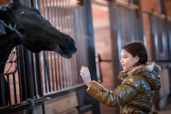 Flicka strök häst — Stockfoto