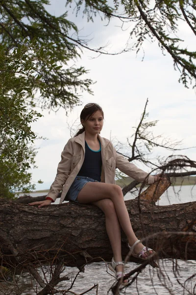 Όμορφο κορίτσι που κάθεται σε ένα δέντρο — Φωτογραφία Αρχείου