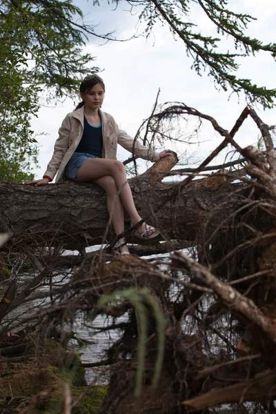 Krásná dívka sedící na stromě — Stock fotografie