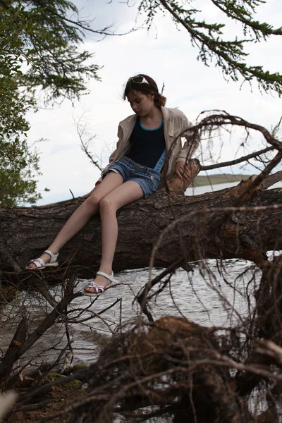 Schönes Mädchen sitzt auf einem Baum — Stockfoto