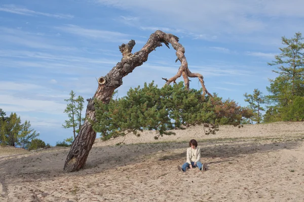 Femme assise sous un arbre biaisé — Photo