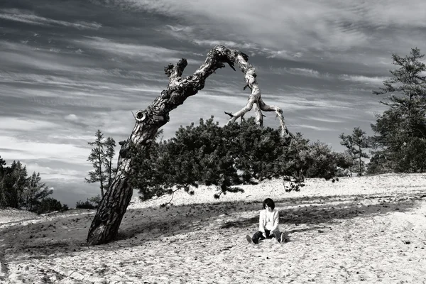 Kvinna sitter under ett träd som partisk — Stockfoto