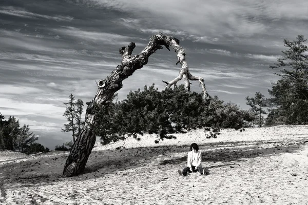 Donna seduta sotto un albero di parte — Foto Stock