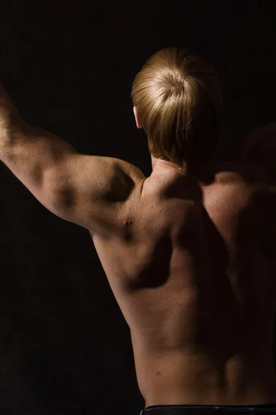 Parte de trás do fisiculturista masculino — Fotografia de Stock