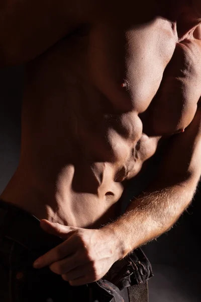 Muskuløs mandlig torso - Stock-foto