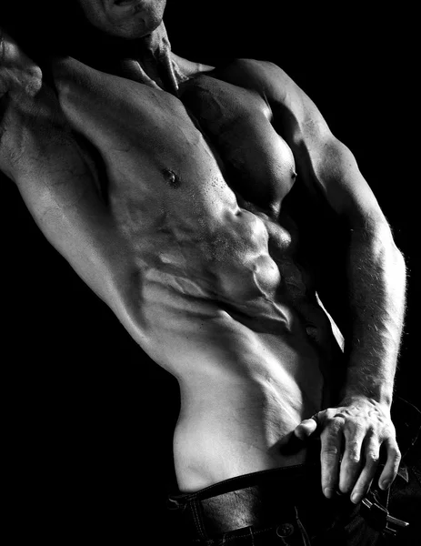 Torso masculino muscular — Fotografia de Stock