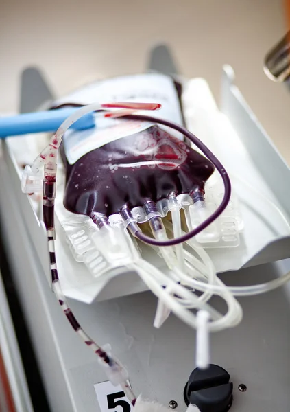 Bag of blood and plasma — Stock Photo, Image