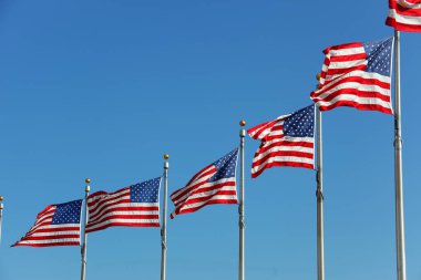 Washington Anıtı 'ndaki ABD Bayrakları rüzgarda dalgalanıyor