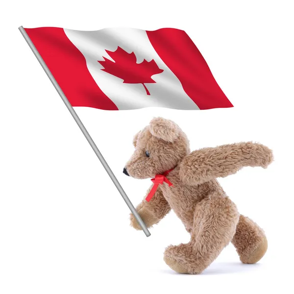 Una Bandera Canadá Siendo Llevada Por Lindo Osito Peluche — Foto de Stock