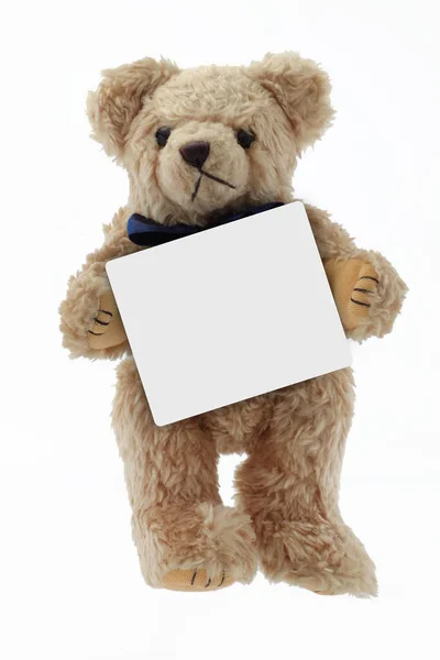 Cute teddy bear holding a blank message copy space — Zdjęcie stockowe