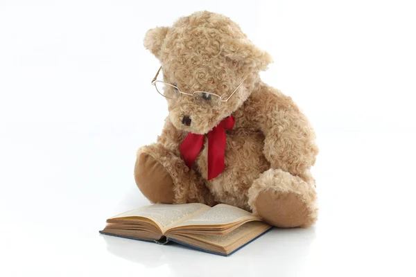 戴着眼镜看书的泰迪熊 — 图库照片
