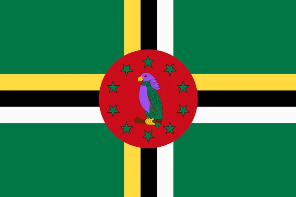 Dominica bandera fondo ilustración verde amarillo negro rojo sisserou loro — Foto de Stock